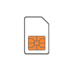 Icon SIM